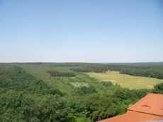 Burg_Rabenstein_Fläming_22.jpg